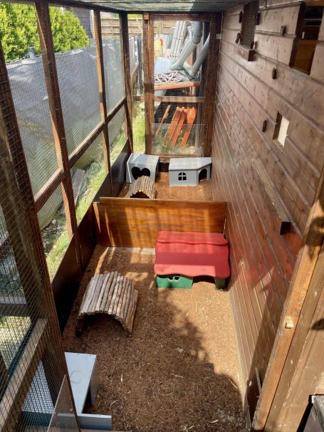 Außenbereich, angeschlossen an zwei Innengehege