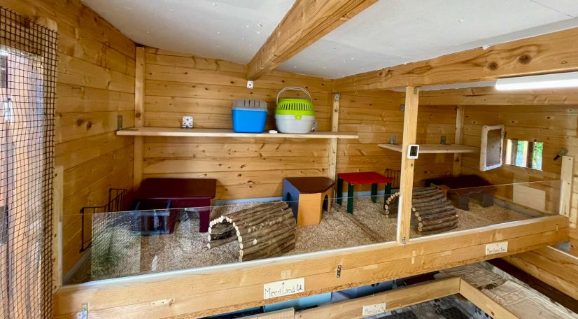 Gehege für 2-4 Meerschweinchen